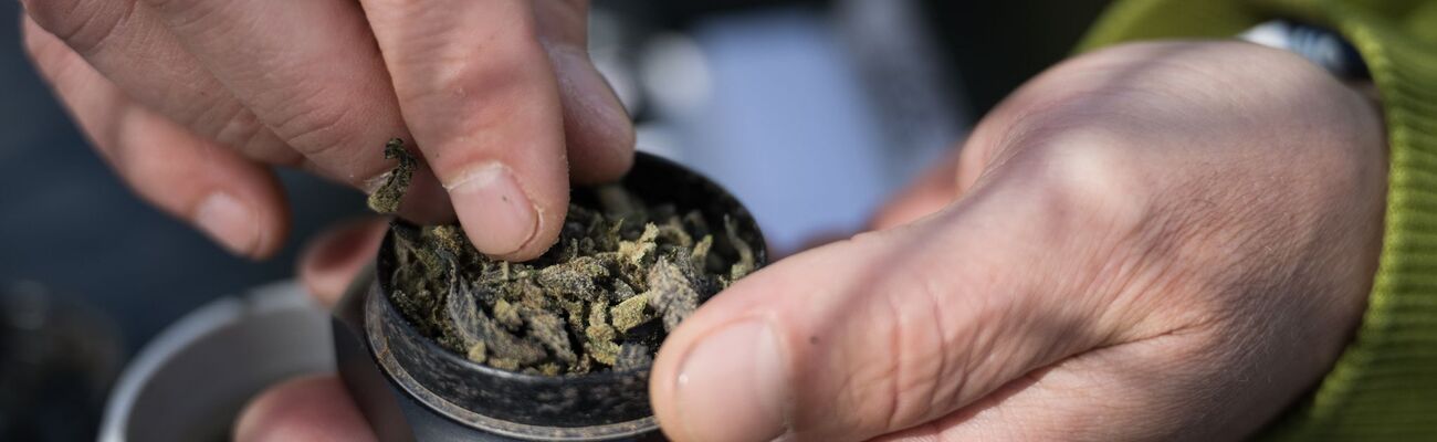 Die Bundesländer hätten bislang keine klaren Regelungen für die Lizenzen von Anbauflächen für Cannabis aufgestellt und «bis auf wenige Ausnahmen» noch nicht mal eine zuständige Behörde benannt., © Sebastian Gollnow/dpa
