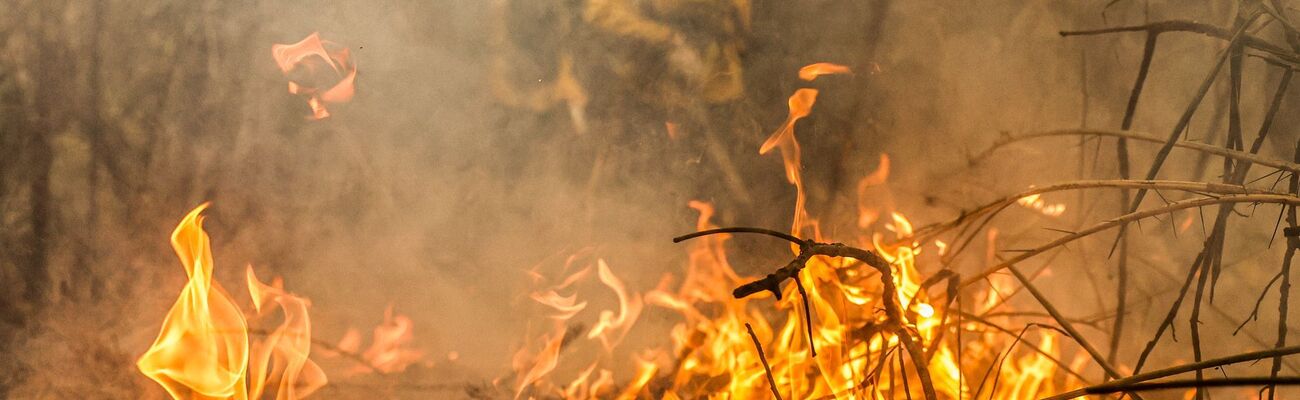 Feuerwehreinheiten bekämpfen die schlimmen Waldbrände im Pantanal., © Marcelo Camargo/Agencia Brazil/dpa