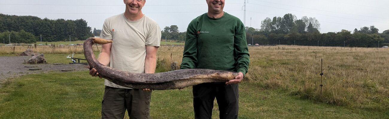 Zwei Bornholmer Naturführer zeigen den seltenen Fund., © René Vilsholm/NaturBornholm/dpa