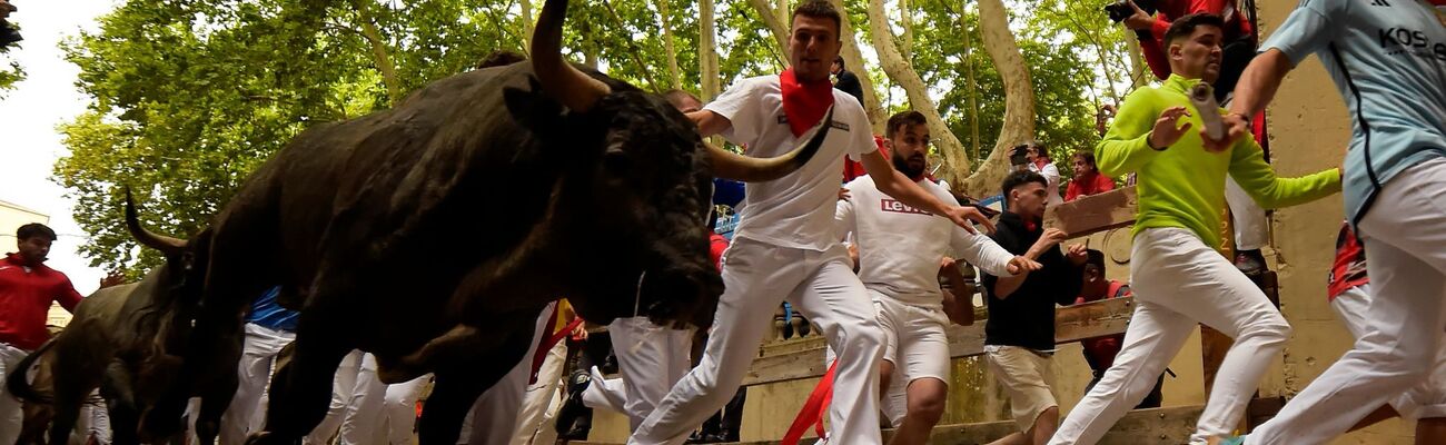 Die berühmteste Stierhatz Spaniens findet in Pamplona statt. (Archivbild), © Alvaro Barrientos/AP/dpa