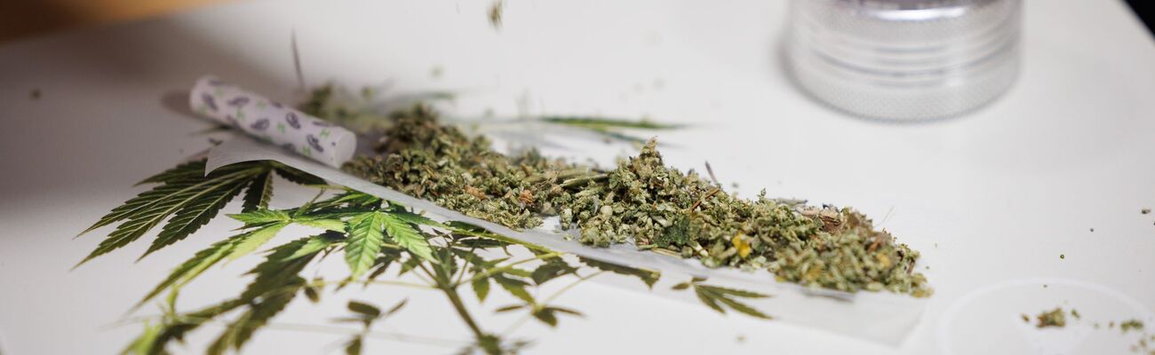 Seit 1. Juli können Erwachsene in nicht-kommerziellen «Anbauvereinigungen» Cannabis gemeinsam anbauen und untereinander zum Eigenkonsum abgeben. Zuvor müssen sie allerdings eine Erlaubnis beantragen., © Friso Gentsch/dpa