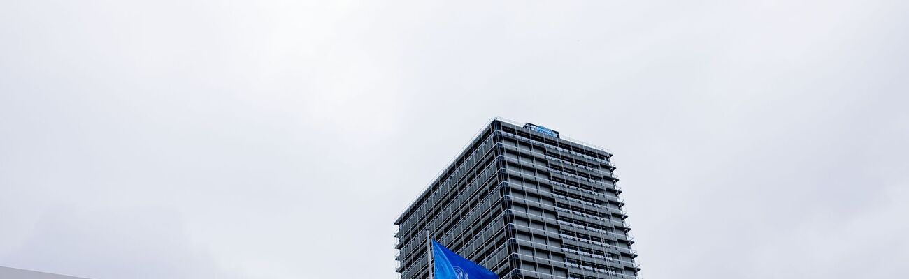 Vor dem Sitz der Vereinten Nationen in Bonn stellen Umweltschützer die Zusammenhänge im Artenschutz dar. (Symbolbild), © Rolf Vennenbernd/dpa