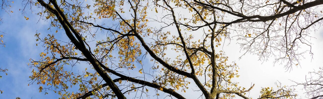 Am Samstag wird es in Nordrhein-Westfalen sonnig. (Archivbild), © Rolf Vennenbernd/dpa