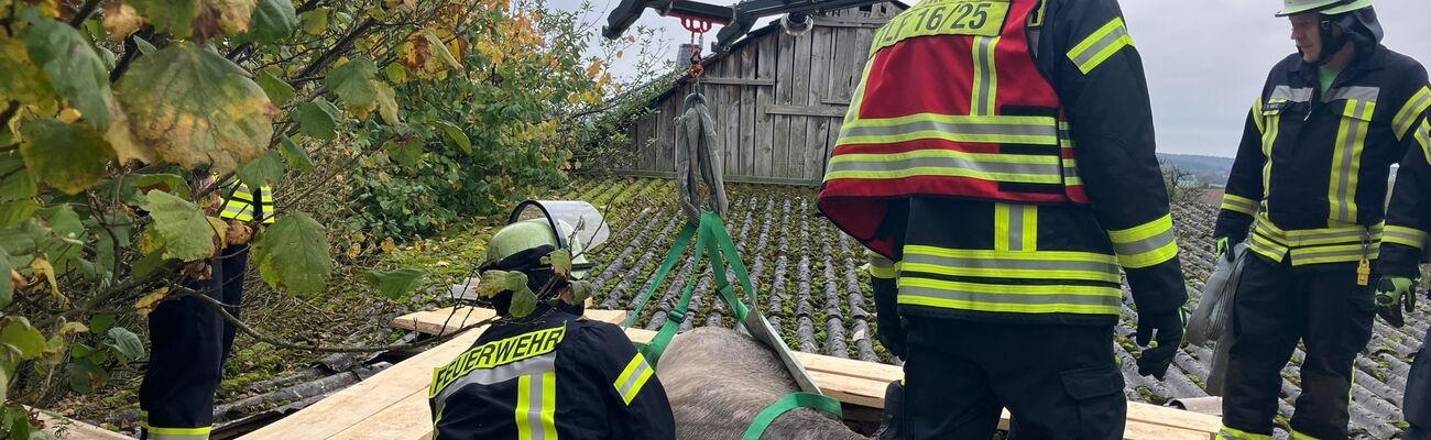 Das verunglückte Pferd musste mit Hilfe einer Drehleiter gerettet werden. , © Freiwillige FW Ruppichteroth /dpa