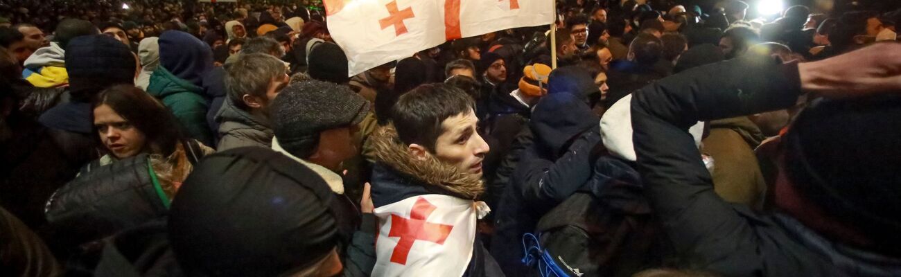 Die Demonstranten in Tiflis hoffen auf eine Annäherung an Europa., © Zurab Tsertsvadze/AP