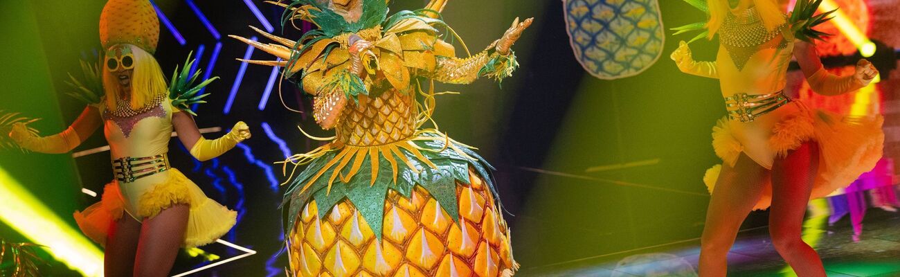 «Lady Ananas» ist bei «The Masked Singer» raus. (Archivbild), © Rolf Vennenbernd/dpa