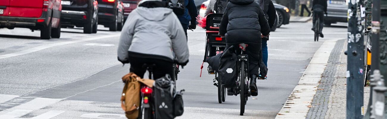 Das Land will ein Leasingangebot für normale Räder und E-Bikes einführen. (Symbolbild), © Jens Kalaene/dpa