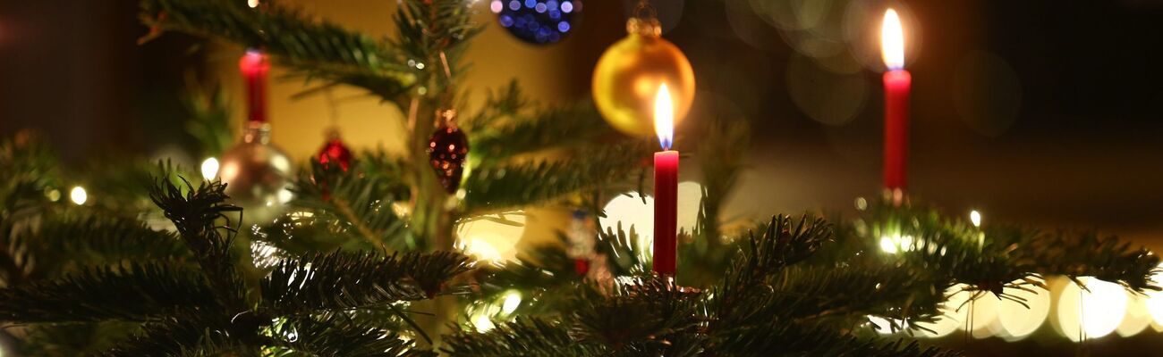 Kerzen brennen in einem Wohnzimmer an einem geschmückten Christbaum: heutzutage oft schon zeitiger im Dezember als früher. (Symbolbild), © picture alliance / Karl-Josef Hildenbrand/dpa