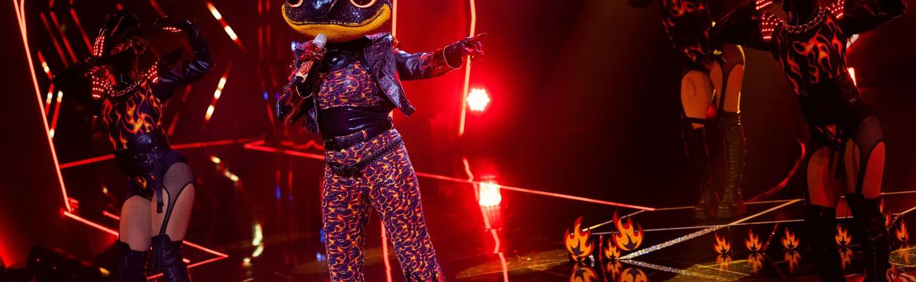 Der Feuersalamander hat es bei «The Masked Singer» nicht ins Finale geschafft. (Archivbild), © Rolf Vennenbernd/dpa