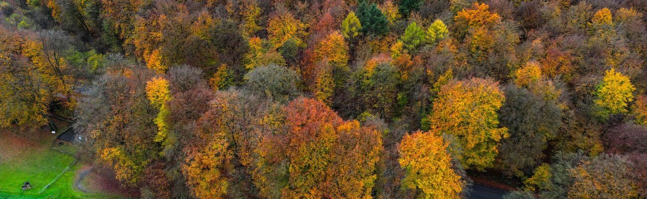 Die Bürger im Kreis Kleve konnten darüber abstimmen, ob es bei Ihnen den zweiten Nationalpark in NRW geben soll. (Archivbild), © Oliver Berg/dpa