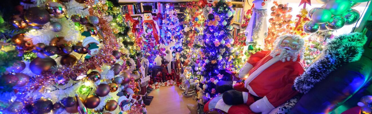 Hunderte Weihnachtsbäume finden in einem Haus in Niedersachsen Platz (Archivbild)., © Julian Stratenschulte/dpa