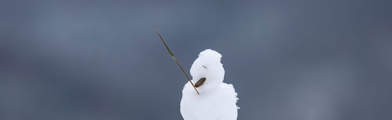 Ein kleiner Schneemann steht im Dezember 2023 auf einer Mauer. (Archivbild), © Thomas Banneyer/dpa