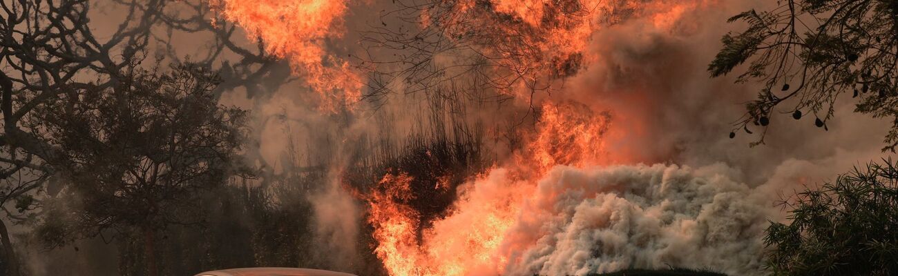 Das «Palisades Fire» wütet inmitten starker Winde. , © Damian Dovarganes/AP/dpa