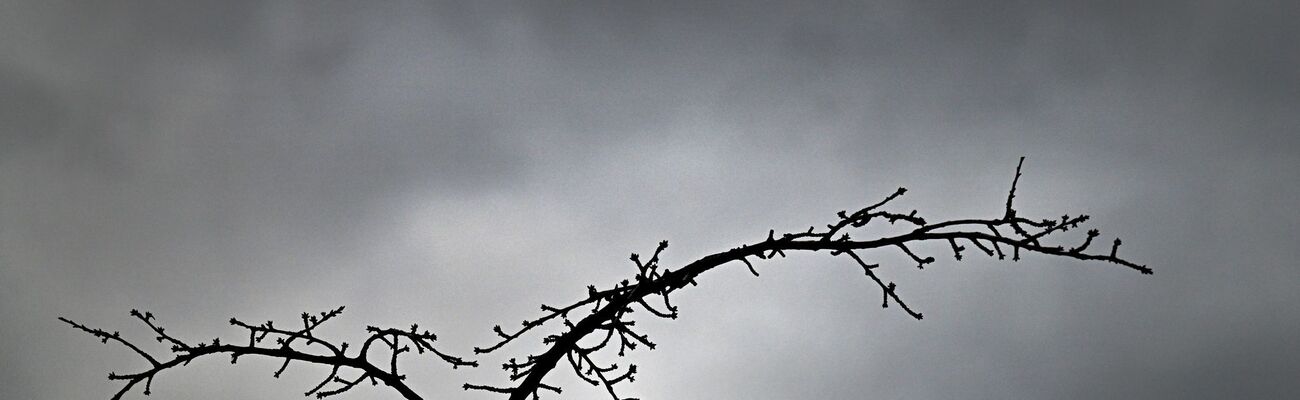 Ein grauer Himmel begleitet die Menschen in Nordrhein-Westfalen von Mittwoch bis Freitag. (Symbolbild), © Federico Gambarini/dpa