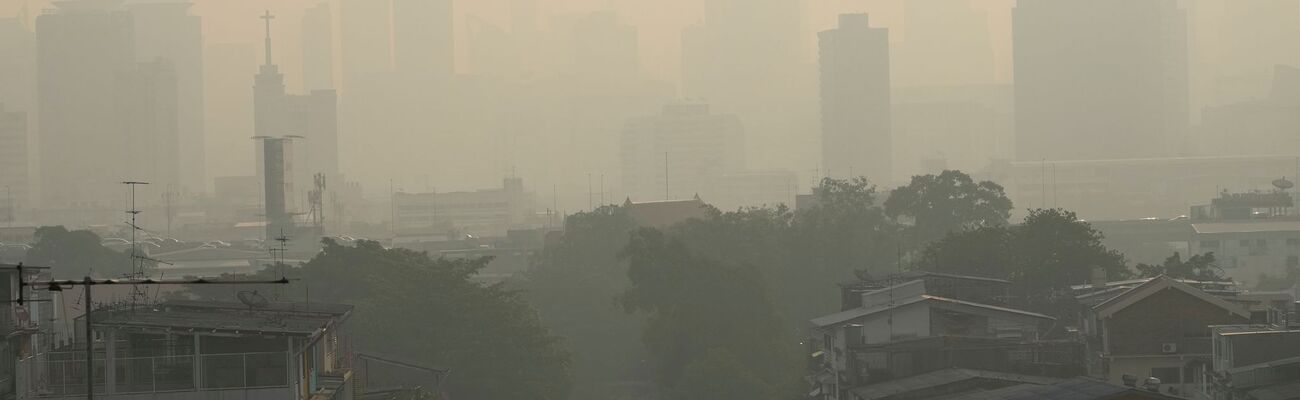 Bangkoks Skyline liegt häufig unter einer giftigen Smog-Wolke., © Sakchai Lalit/AP/dpa