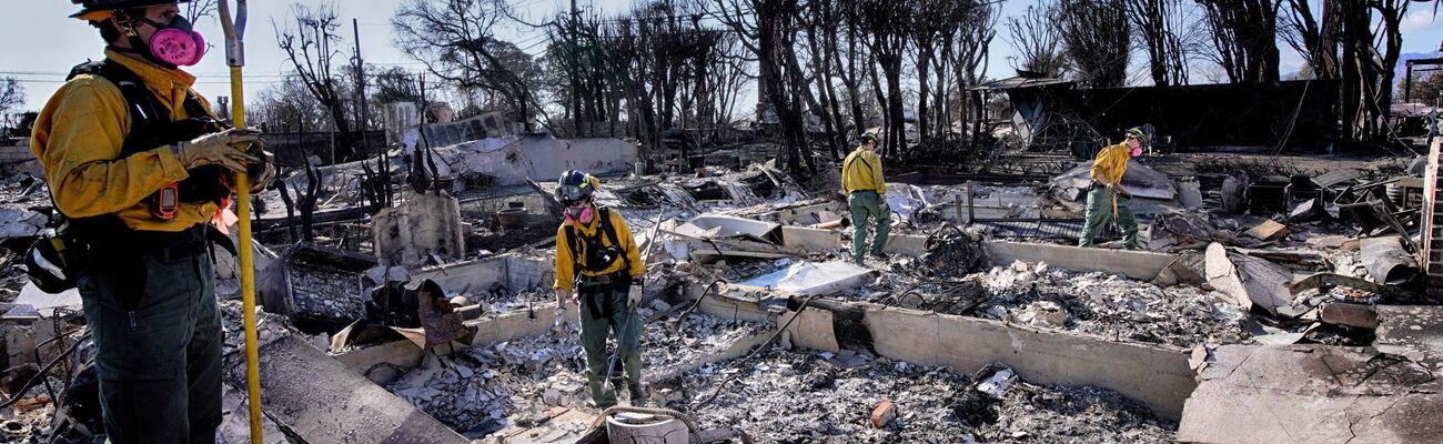 Von vielen Häusern ist in Pacific Palisades nichts mehr übrig. (Archivbild), © Richard Vogel/AP/dpa