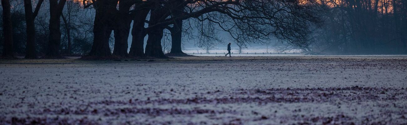 Die Woche startet in Deutschland vielerorts mit Sonne, Nebel und Frost., © Thomas Banneyer/dpa