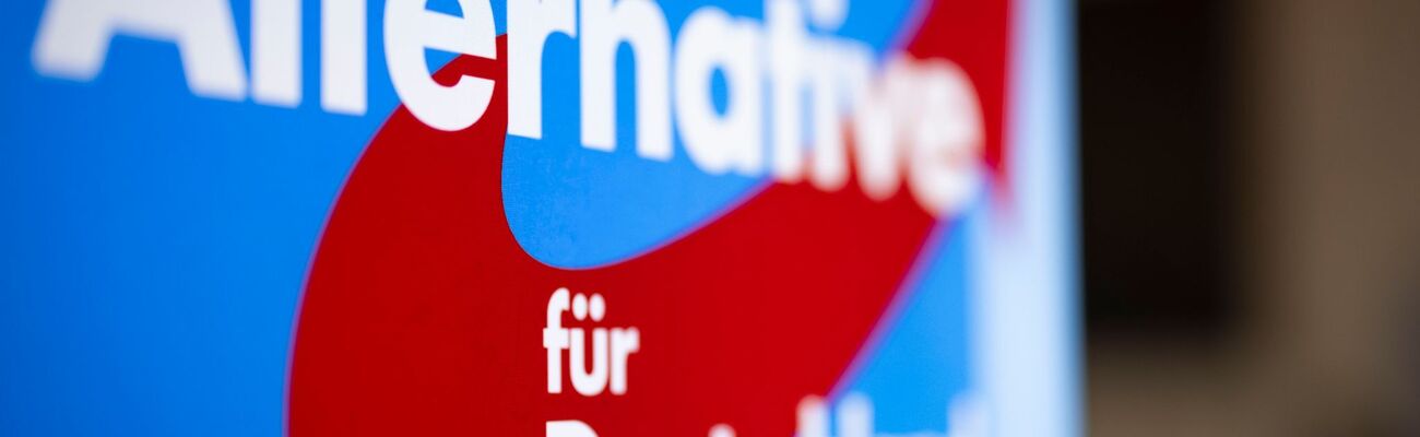 Die AfD meldet eine weitere Großspende an die Bundestagsverwaltung. (Archivbild), © Christoph Reichwein/dpa