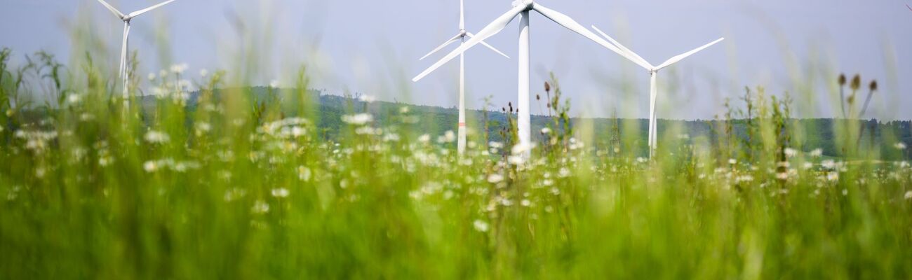 Beim Bau von Windrädern macht Deutschland Fortschritte. Doch in anderen Bereichen hakt es beim Klimaschutz weiter., © Julian Stratenschulte/dpa