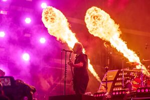 Mike Dirnt, Bassist und Sänger der US-amerikanischen Rockband „Green Day“ beim Festival "Rock am Ring"., © Thomas Frey/dpa