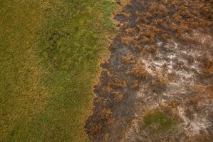 Die Brände zerstören große Flächen., © Marcelo Camargo/Agencia Brazil/dpa
