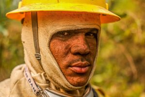 Ein Feuerwehrmann im Einsatz gegen die Flammen im Pantanal., © Marcelo Camargo/Agencia Brazil/dpa