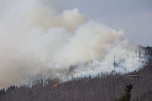 Vor zwei Jahren hatte der Landkreis Harz den Katastrophenfall wegen eines Brandes am Brocken ausgerufen - jetzt ist dort wieder ein Feuer ausgebrochen., © Matthias Bein/dpa