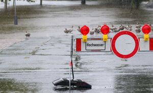 Auch in Teilen Sachsens steigen die Pegelstände - so auch in Schöna. , © Robert Michael/dpa