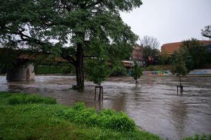 An der Stadtbrücke in Görlitz stehen Bäume im Hochwasser der Neiße., © Paul Glaser/dpa