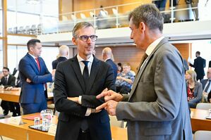 Lars Castellucci (l, SPD) und Christoph Hoffmann (r, FDP) leiten derzeit als Stellvertreter zwei Ausschüsse., © Uwe Anspach/dpa