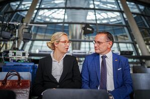 Alice Weidel soll einer Vorabsprache zufolge Kanzlerkandidatin der AfD werden (Archivbild), © Kay Nietfeld/dpa