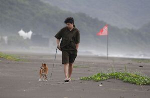 Im Osten und Süden Taiwans blieben Büros und Schulen wegen des Taifuns geschlossen., © Chiang Ying-ying/AP/dpa