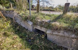 Finden sich im neuen Schwarzbuch des Steuerzahlerbunds im Kapitel «Richtig Skurril!»: Krötentunnel in Hamburg-Blankenese., © Georg Wendt/dpa