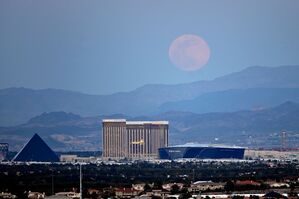 Er führte zum Zeitpunkt des Vorfalls seinen Hund in Las Vegas spazieren, sagte seine Sprecherin. (Archivbild), © David Becker/Zuma Press/dpa