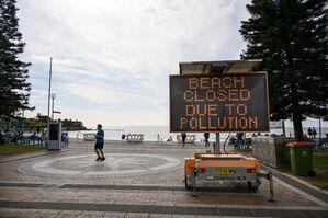 Australische Behörden untersuchen rätselhafte schwarze Kugeln, die an mehreren Stränden Sydneys angespült wurden., © Steven Markham/AAP/dpa