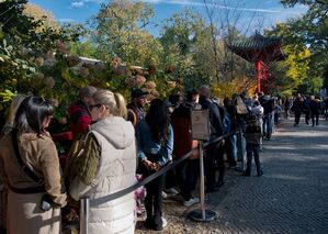 Manch ein Panda-Fan stellt sich sogar zwei Mal in die Schlange., © Paul Zinken/dpa