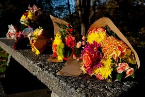 Blumensträuße in einem Park in Fall City. Die Menschen in der Stadt sind fassungslos. , © Jennifer Buchanan/The Seattle Times/AP