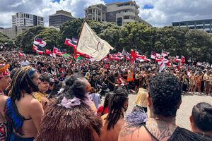 Der Gesetzesentwurf legt das Gründungsdokument Neuseelands - den Vertrag von Waitangi - neu aus., © Mark Tantrum/AP/dpa