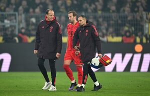 Kane führt die Bundesliga-Torschützenliste mit 14 Treffern an., © Federico Gambarini/dpa