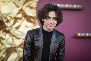 Timothée Chalamet spielt Bob Dylan. (Archivbild), © Richard Shotwell/Invision/AP/dpa