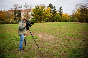 Im Park Thomashöhe haben Experten Sprengstoff gesprengt., © Christoph Soeder/dpa