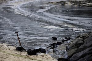 Solche Bilder soll es von der Ostsee nicht geben. (Foto Illustration), © Suhaimi Abdullah/AP/dpa