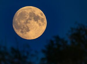 Der Mond zeugt von einer planetaren Katastrophe. (Archivbild), © Patrick Pleul/dpa