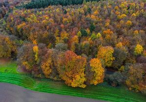 Die Bürger im Kreis Kleve haben dagegen gestimmt, dass es bei ihnen in der Region einen zweiten Nationalpark in NRW geben soll. (Archivbild), © Oliver Berg/dpa