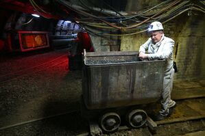 Nachdenklich steht Bergmann Jürgen Jakubeit im Übungsbergwerk Recklinghausen vor einer Lore mit Kohle. Ende 2018 ist Deutschland endgültig aus der Steinkohleförderung ausgestiegen und setzt für die noch laufenden Kohlekraftwerke auf Importkohle., © Federico Gambarini/dpa