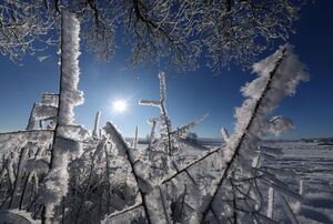 Eine Landschaft in Weiß - für viele bleibt die ein weihnachtlicher Traum., © Karl-Josef Hildenbrand/dpa