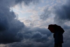 Das Jahr 2024 stellte nach Angaben des DWD einen Wärmerekord auf, zudem gab es deutlich zu viel Regen (Symbolbild)., © Martin Gerten/dpa