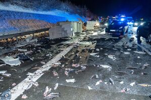 Die Forellen wurden bei dem Unfall über die Fahrbahn verteilt., © JOTO/dpa