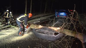 Im Landkreis Emsland fuhr eine Autofahrerin mit ihrem Wagen gegen einen Baum. Sie wurde leicht verletzt., © -/Nord-West-Media TV/dpa