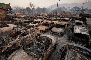 Das verkohlte Inventar eines Autohändlers in Altadena. , © Jae C. Hong/AP/dpa